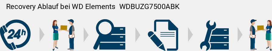 Recovery Ablauf bei WD Elements  WDBUZG7500ABK