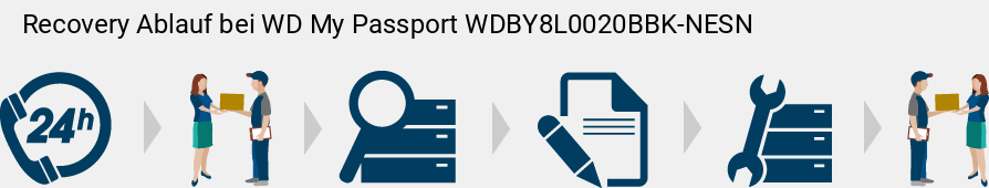 Recovery Ablauf bei WD My Passport WDBY8L0020BBK-NESN