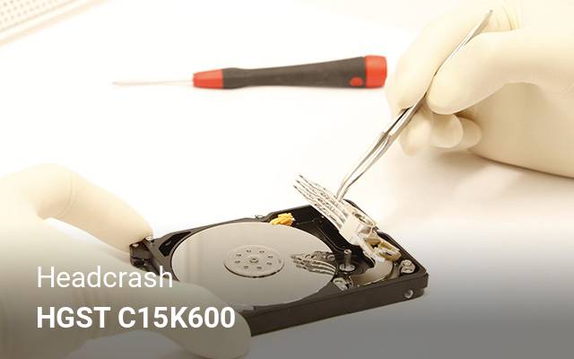 Headcrash HGST  C15K600 